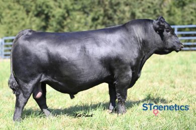 Claylick Run Trade Up K059