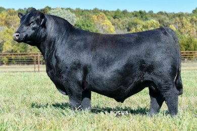 Ellingson Badlands 0285