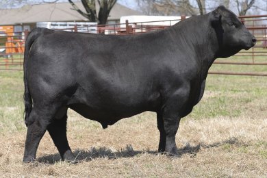 HF Safe &AMP; Sound 019