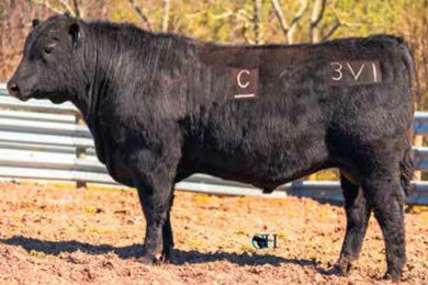 Ideal Clark Exceptional 3V1