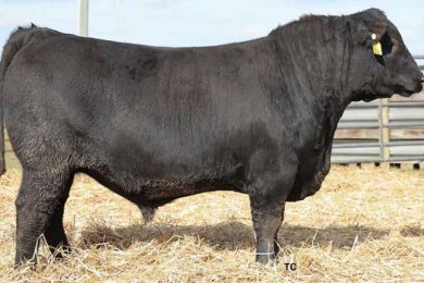 K C F Bennett Jefferson L265