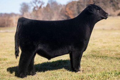 KABG Closing Time 30