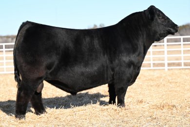 Sadler Hemisphere 2528