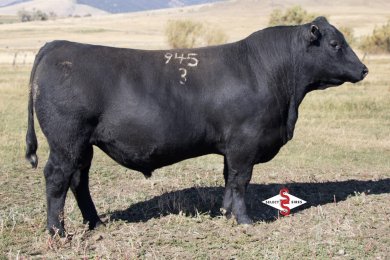 Sitz Contractor 9453