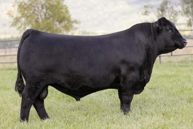 Spring Cove Grant 200K