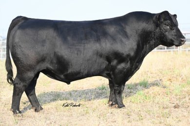 Varilek Historic 1017 02