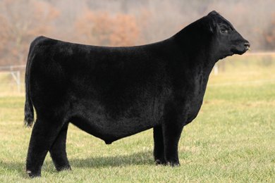 Wheeler Hunters Ted Lasso