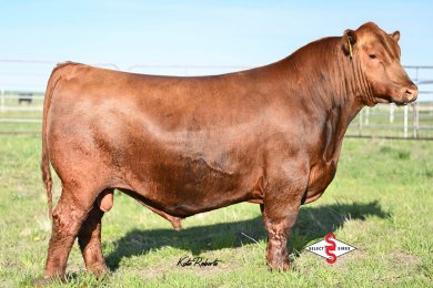 LSF JLM Leverage 3865L