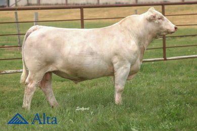 Mead Battle Ready U1108