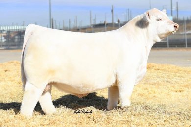 PCC Force of Nature 122J ET