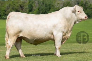 Vierra Substantial 90673