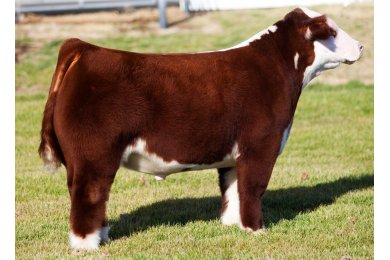 Deadliest Catch (Rogers)