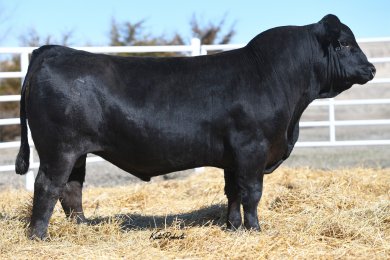 CTR Jackpot 8665F ET