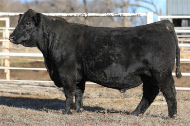 Post Rock Clock Work 164L8