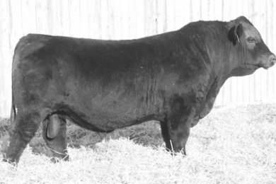 RWG Happy Hour 0442 ET