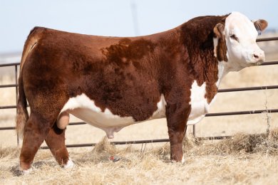 CRR 156J Wind River 347