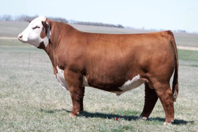 KJ 7603 Element 019L ET