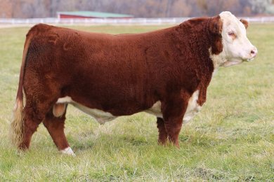 NJW 160B 028X Historic 81E ET