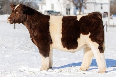 FSF/4R Eyez On Me P 444 ET