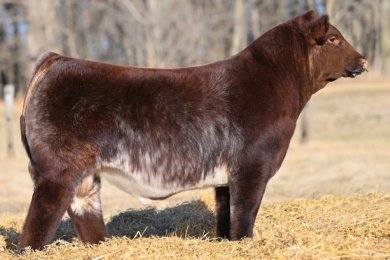 SS SL Train Station 010