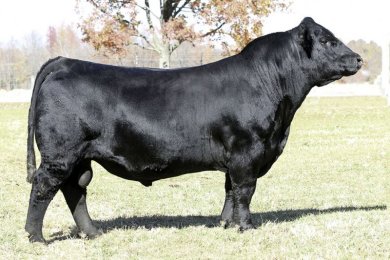 CLRWTR Clear Advantage H4G