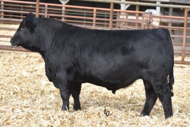 Hook`s Beacon 56B (1)