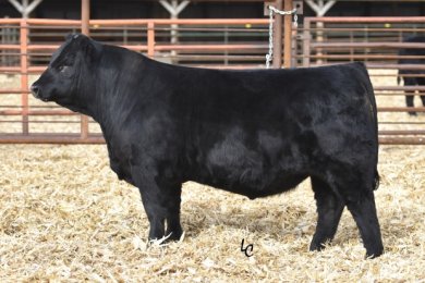 Hook`s Black Hawk 50B