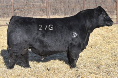 Schooley Standout 27G